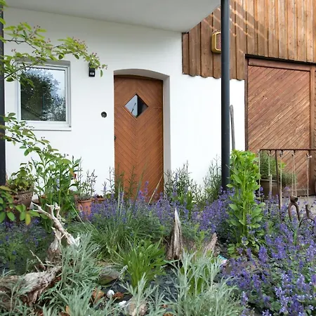 Stein Mit Sauna * Hasselbach (Rhein-Hunsruck)