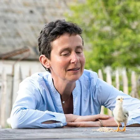 Stein Mit Sauna דירה *