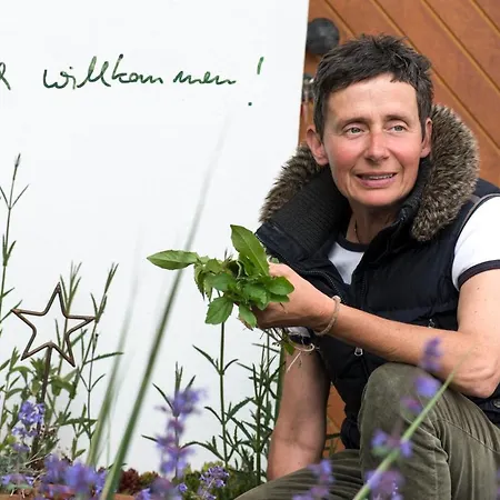 Stein Mit Sauna Διαμέρισμα