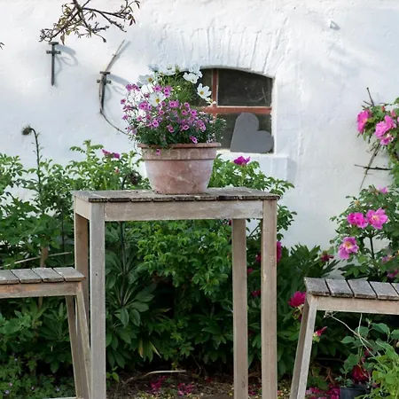 Stein Mit Sauna Appartement
