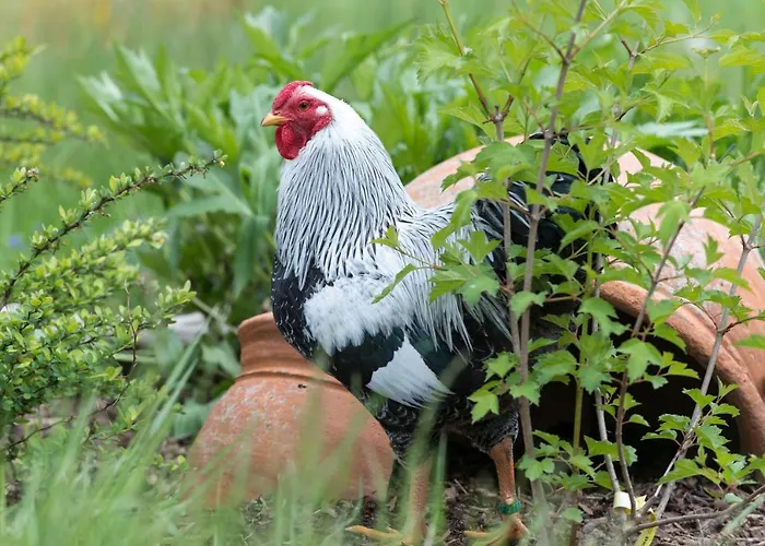 Apartamento Stein Mit Sauna *
