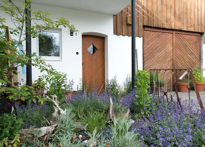 Stein Mit Sauna * Hasselbach (Rhein-Hunsruck)